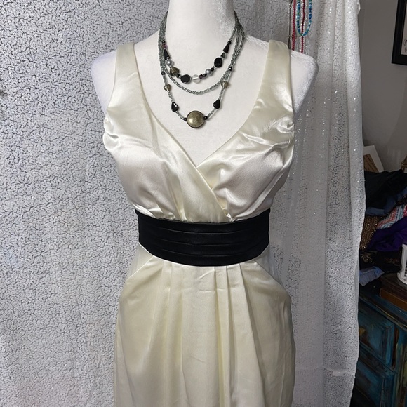 Appropriate Behavior prom dress size 11/12 - Picture 2 of 14